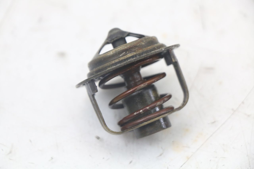 photo de TERMOSTAT HONDA NTV DEAUVILLE 650 (1998 - 2001) - Zoom stanu zużycia