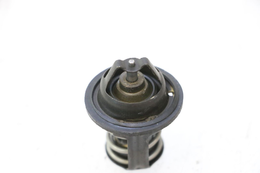 photo de TERMOSTAT PEUGEOT SATELIS 125 (2006 - 2009) - Zoom stanu zużycia