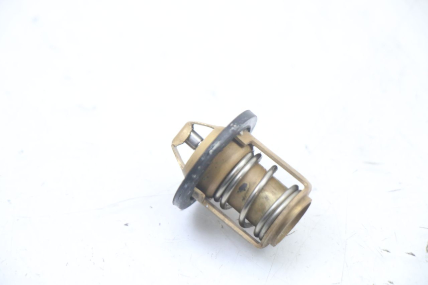 photo de TERMOSTAT PEUGEOT SPEEDFIGHT 3 LC 2T 50 (2009 - 2015) - Widok główny