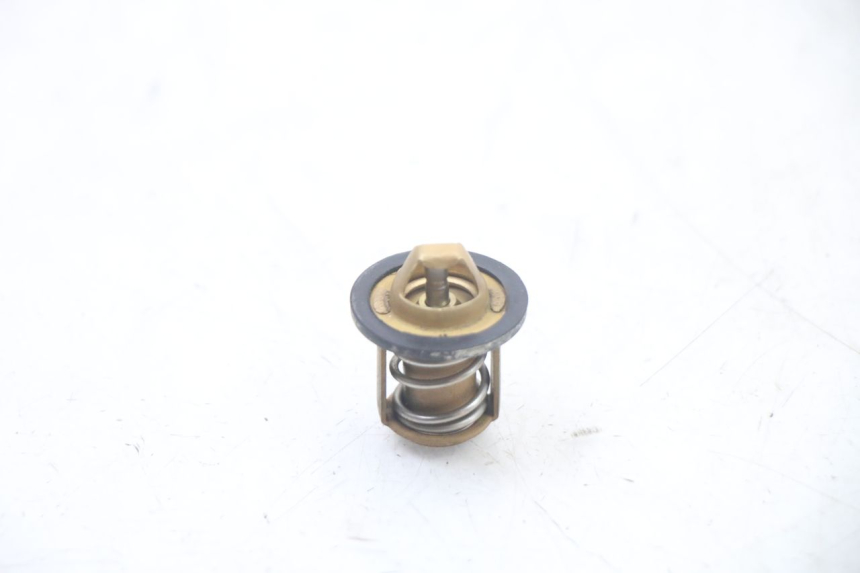 photo de TERMOSTAT PEUGEOT SPEEDFIGHT 3 LC 2T 50 (2009 - 2015) - Zoom stanu zużycia