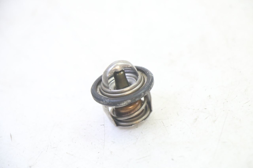 photo de TERMOSTAT YAMAHA X-MAX XMAX 125 (2010 - 2013) - Widok główny