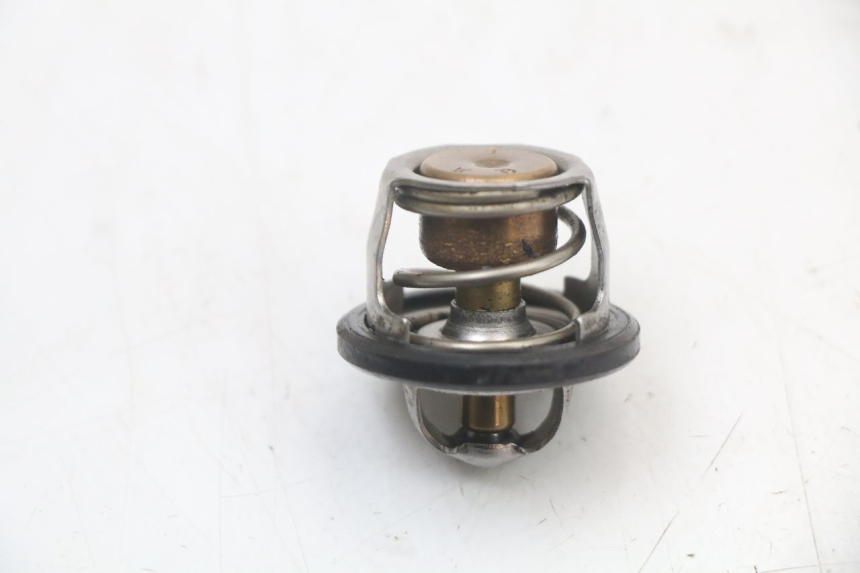 photo de TERMOSTAT YAMAHA YP MAJESTY 125 (2002 - 2006) - Zoom stanu zużycia