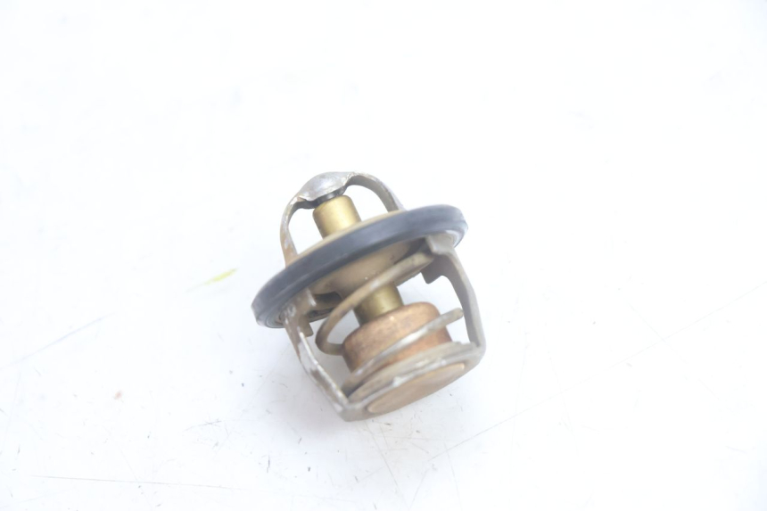 photo de TERMOSTAT YAMAHA YP MAJESTY 125 (2002 - 2006) - Widok główny