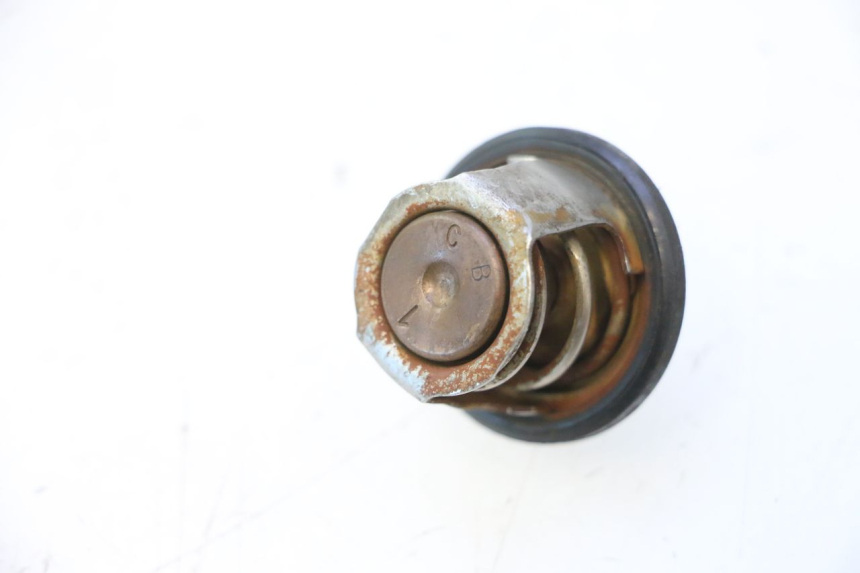 photo de TERMOSTAT YAMAHA YP MAJESTY 125 (2007 - 2010) - Szczegół części