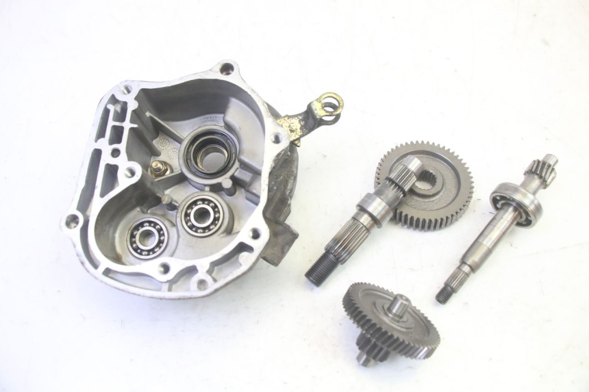 photo de NAPĘD KOŁA LONGJIA DIGITA 4T 50 (2019 - 2022) - Widok główny