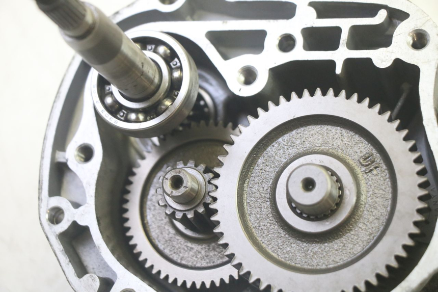 photo de NAPĘD KOŁA LONGJIA DIGITA 4T 50 (2019 - 2022) - Szczegóły charakterystyczne