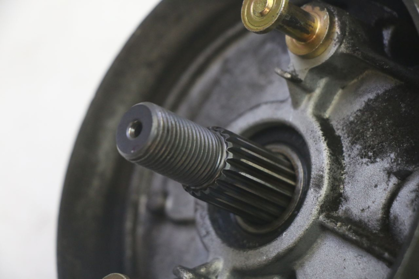 photo de NAPĘD KOŁA LONGJIA DIGITA 4T 50 (2019 - 2022) - Kontrola wizualna