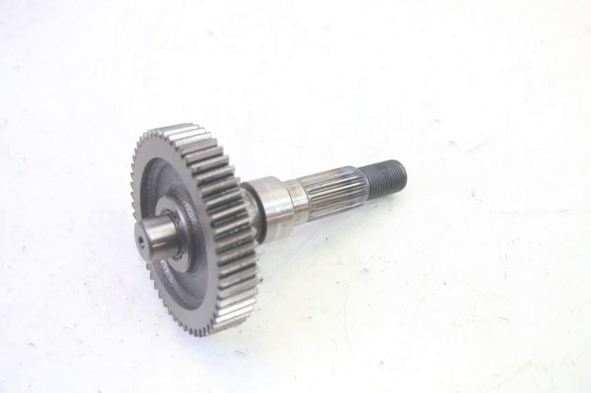 photo de NAPĘD KOŁA LONGJIA DIGITA 4T 50 (2019 - 2022) - Oznaczenia i referencje