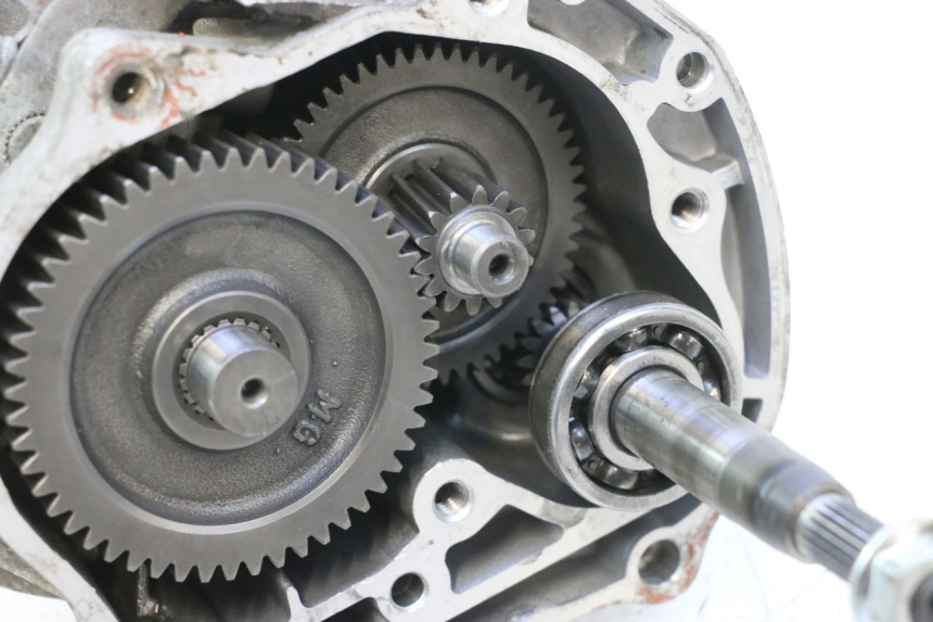 photo de NAPĘD KOŁA JM MOTORS F45i 4T 50 (2020 - 2023) - Widok ogólny