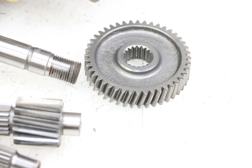 photo de NAPĘD KOŁA HONDA FES PANTHEON 2T 125 (1998 - 2002) - Widok produktu