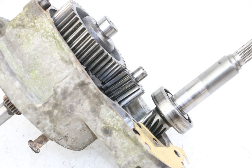 photo de NAPĘD KOŁA HONDA PES PS I 125 (2006 - 2012) - Widok ogólny