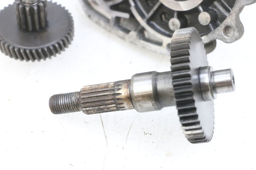 photo de NAPĘD KOŁA PEUGEOT LUDIX 50 (2008 - 2017) - Widok produktu