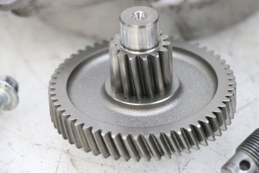 photo de NAPĘD KOŁA PIAGGIO NEW TYPHOON 50 (2018 - 2021) - Widok produktu