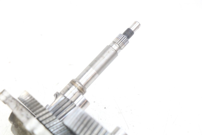 photo de NAPĘD KOŁA APRILIA SCARABEO LIGHT 125 (2007 - 2011) - Zbliżenie techniczne