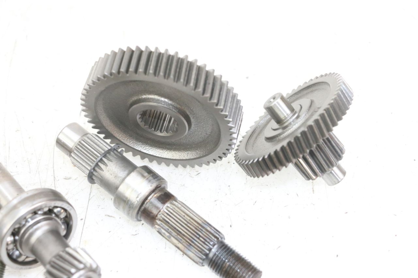 photo de NAPĘD KOŁA TNT MOTOR ROMA 10' 4T 50 (2019 - 2022) - Widok ogólny