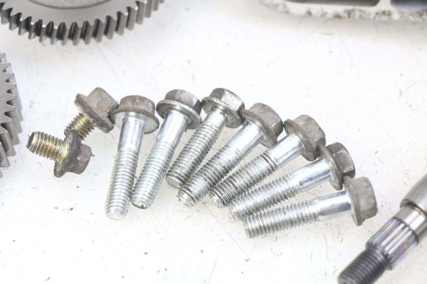 photo de NAPĘD KOŁA SYM X-PRO 4T 50 (2014 - 2021) - Widok produktu