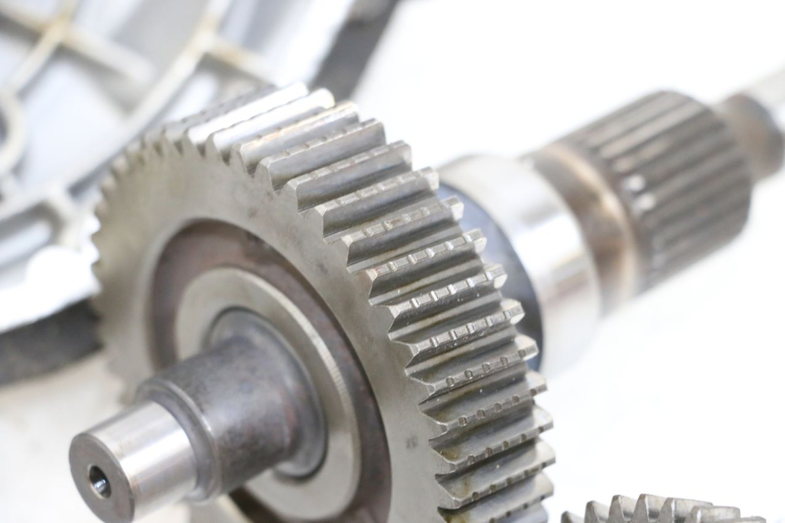 photo de NAPĘD KOŁA PIAGGIO X9 125 (2000 - 2003) - Widok produktu