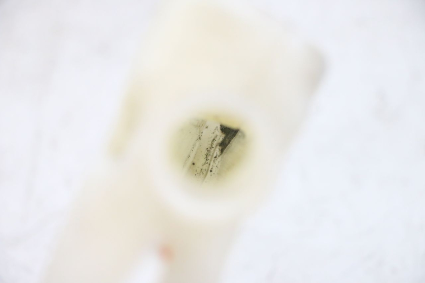 photo de Zbiornik wyrównawczy YAMAHA FJR ABS 1300 (2006 - 2012) - Szczegół części