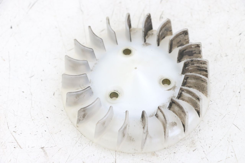 photo de WENTYLATOR KEEWAY RY6 2T 50 (2011 - 2019) - Widok główny