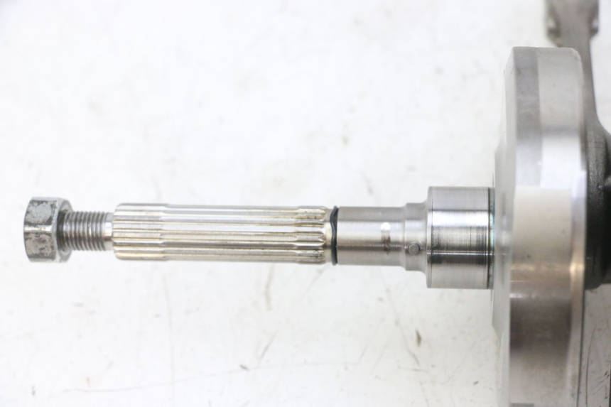 photo de WAŁ KORBOWY PIAGGIO MP3 LT 300 (2010 - 2016) - Widok ogólny