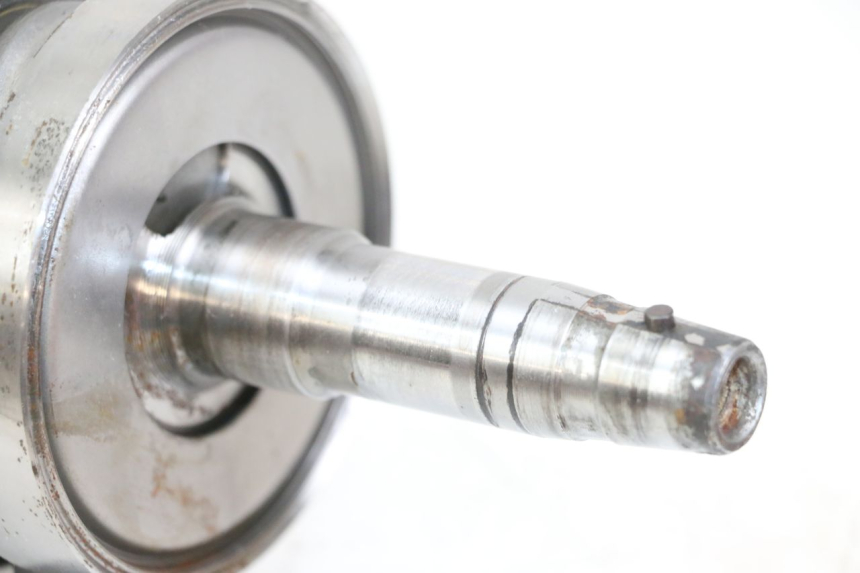 photo de WAŁ KORBOWY REGAL RAPTOR RAXTER 2 125 (2007 - 2015) - Szczegóły charakterystyczne