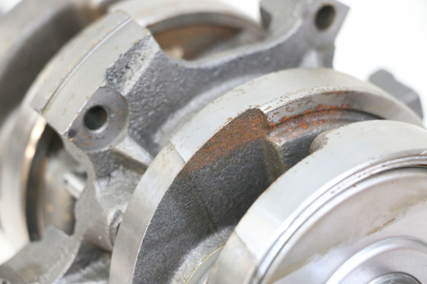 photo de WAŁ KORBOWY REGAL RAPTOR RAXTER 2 125 (2007 - 2015) - Widok ogólny